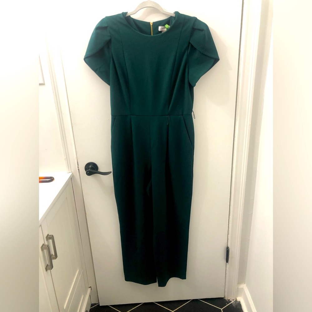 Beautiful  Calvin Klein green jumpsuit worn once , dry cleaned